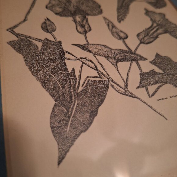 Annarae Anderson Limited Edition Hummingbird Morning Glory Art Print 99 of 500 - Picture 6 of 7